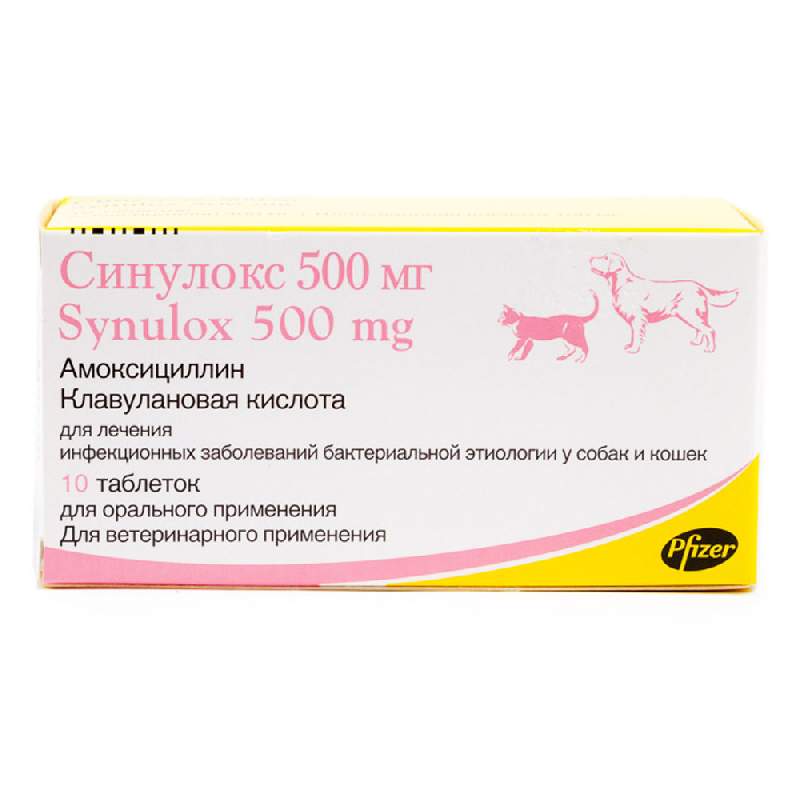 Антибиотики для собак. Синулокс таблетки 50 мг. Zoetis синулокс 500мг, 10таб. Синулокс 500 мг для собак. Синулокс 50 мг для кошек.