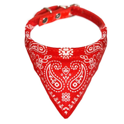 Кожаный ошейник-бандана для собак Орнамент Bandana Ornament Collar Nobby